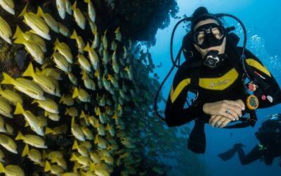 Phuket Diving Season | When Should You Go?